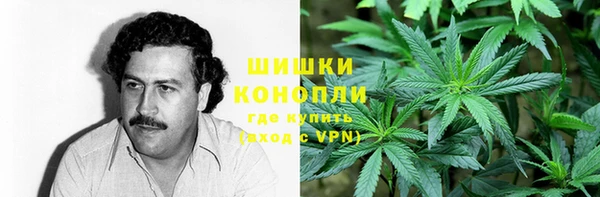 2c-b Алзамай