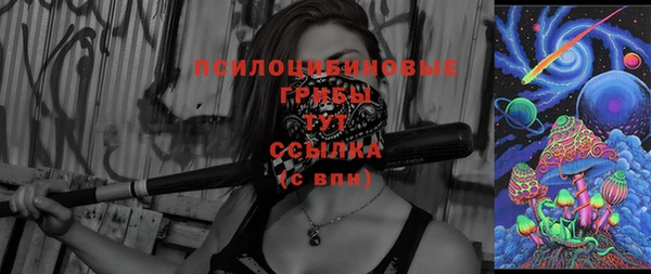 мяу мяу мука Абаза