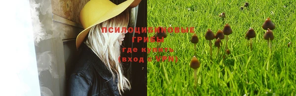 мяу мяу мука Абаза
