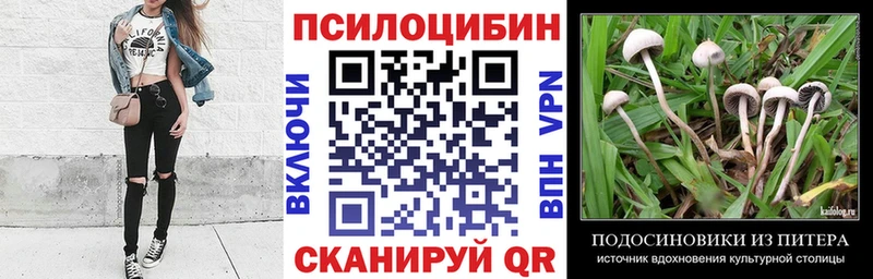 где купить наркоту  Ахтырский  Псилоцибиновые грибы мухоморы 